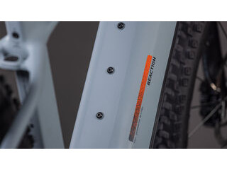 CUBE Reaction Hybrid Race 800 click to zoom image