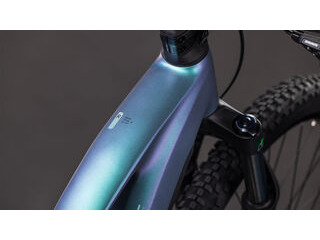 CUBE Reaction Hybrid Race 800 click to zoom image