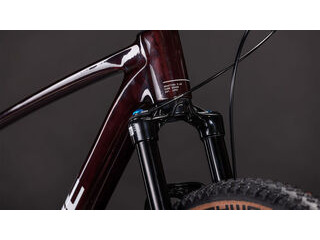 CUBE Reaction C:62 Race click to zoom image