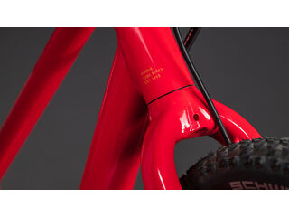 CUBE Numove 200 Disc click to zoom image