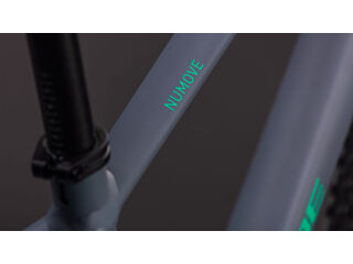 CUBE Numove 240 Disc click to zoom image