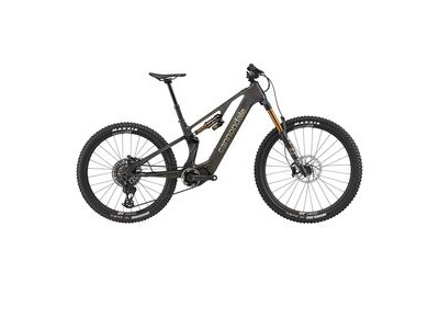 CANNONDALE Moterra SL 1 Raw