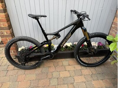 AMFLOW PL Carbon Pro XL x test bike 0 miles new motor