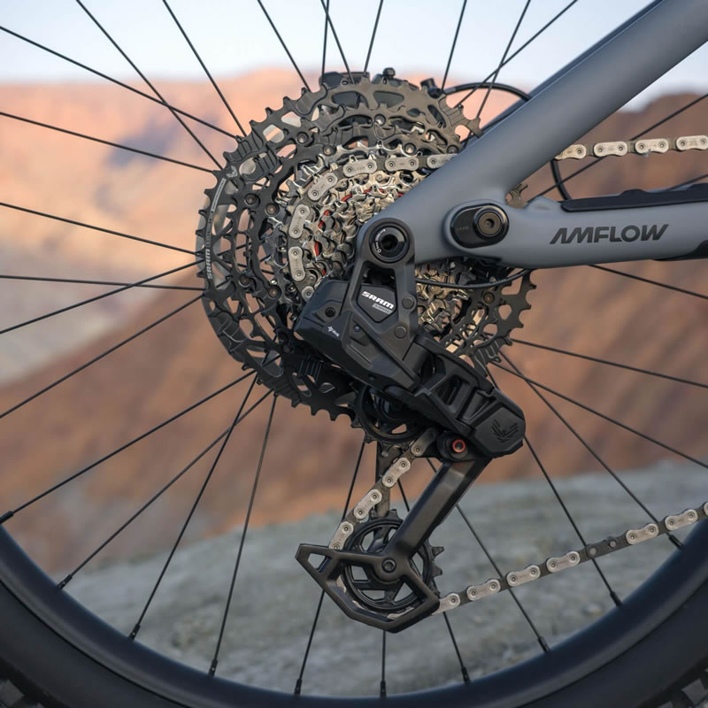 SRAM S1000 Eagle Transmission