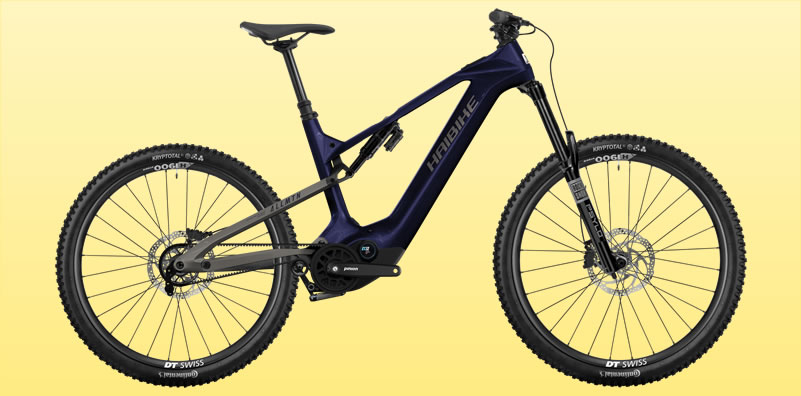 Haibike AllMtn CF10
