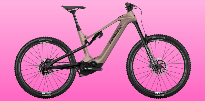 Haibike AllMtn CF11